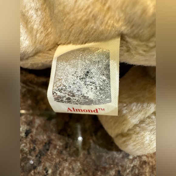 Ty Beanie Baby Almond The Bear DOB April 14, 1999 - Picture 8 of 8